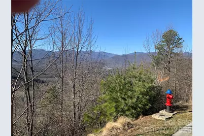 124 Settings Boulevard, Black Mountain, NC 28711 - Photo 5