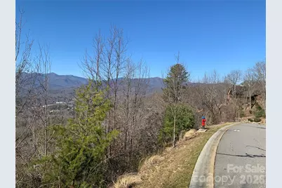 124 Settings Boulevard, Black Mountain, NC 28711 - Photo 9