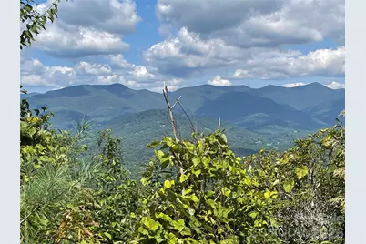 124 Settings Boulevard, Black Mountain, NC 28711 - Photo 3
