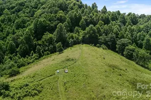 128 Barnet Mountain Dr, Marshall, NC 28753 - Photo 7