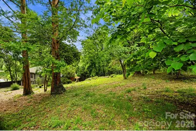 38 Aurora Drive, Asheville, NC 28805 - Photo 35