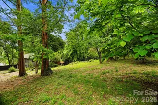 38 Aurora Dr, Asheville, NC 28805 - Photo 35
