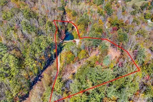 226 Fish Pond Ln, Burnsville, NC 28714 - Photo 47