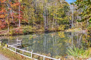 226 Fish Pond Ln, Burnsville, NC 28714 - Photo 33