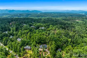 4 Cedar Hill Dr, Asheville, NC 28803 - Photo 3