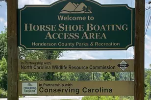 403 Doliver Dr, Horse Shoe, NC 28742 - Photo 43