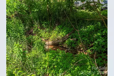 5622 Dutch Cove Road, Canton, NC 28716 - Photo 9
