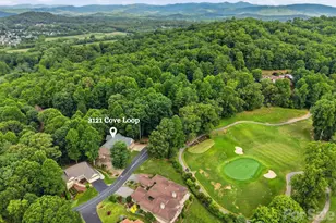 3121 Cove Loop Rd, Hendersonville, NC 28739 - Photo 1