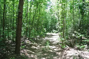 779 Thermal City Rd, Union Mills, NC 28167 - Photo 31