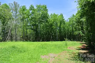 779 Thermal City Rd, Union Mills, NC 28167 - Photo 39