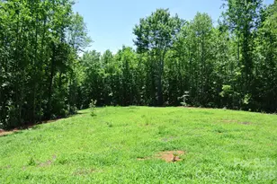 779 Thermal City Rd, Union Mills, NC 28167 - Photo 35