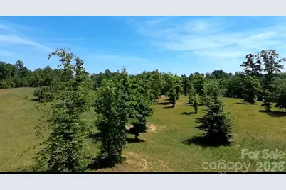 473 McEntire Road, Tryon, NC 28782 - Photo 9