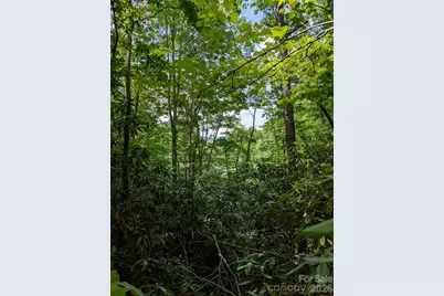 000 Pisgah Highway, Candler, NC 28715 - Photo 5