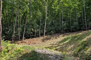 000 Pisgah Hwy, Candler, NC 28715 - Photo 1