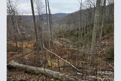 1480 Davis Mountain Road, Hendersonville, NC 28739 - Photo 21
