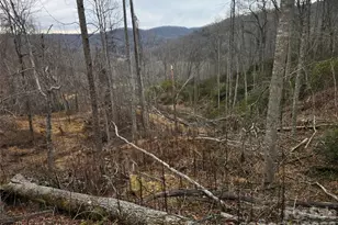 1480 Davis Mountain Rd, Hendersonville, NC 28739 - Photo 21