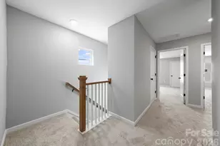 3131 Hatty Pl, Charlotte, NC 28216 - Photo 17