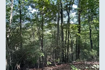 138 Settlers View, Union Mills, NC 28167 - Photo 15