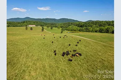 1418 Landis Lane, Nebo, NC 28761 - Photo 9