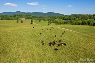 1418 Landis Ln, Nebo, NC 28761 - Photo 9