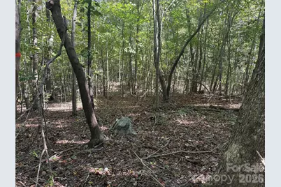 0 Biscoe Road, Troy, NC 27371 - Photo 7
