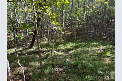 0 Biscoe Road, Troy, NC 27371 - Photo 5