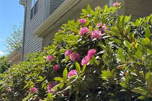 1408 Kenton Ln, Asheville, NC 28803 - Photo 7