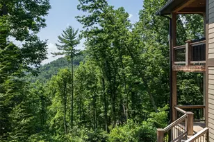 57 Villa Nova Dr, Asheville, NC 28804 - Photo 45