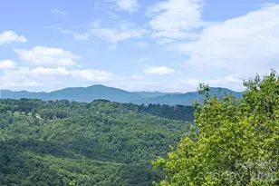 117 Pinnacle Ridge Rd, Beech Mountain, NC 28604 - Photo 43