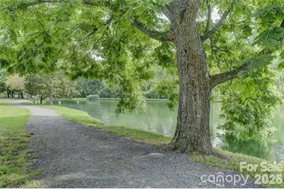 14010 Merganzer Court, Charlotte, NC 28273 - Photo 31