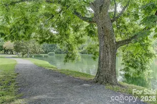 14010 Merganzer Ct, Charlotte, NC 28273 - Photo 31