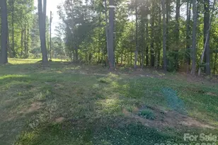 12235 Mallard Ridge Dr, Charlotte, NC 28269 - Photo 19