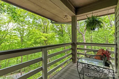 58 Sourwood Drive, Mills River, NC 28759 - Photo 29