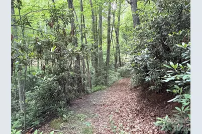 9999 Sunset Drive, Black Mountain, NC 28711 - Photo 7
