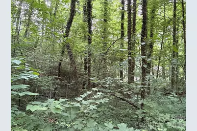 9999 Sunset Drive, Black Mountain, NC 28711 - Photo 5