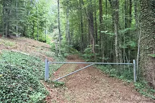 9999 Sunset Dr, Black Mountain, NC 28711 - Photo 1