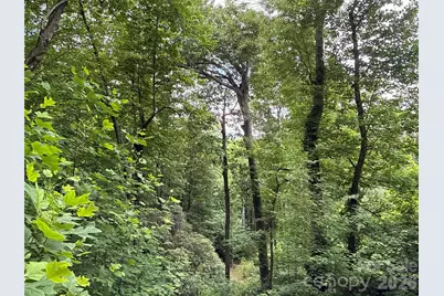 9999 Sunset Drive, Black Mountain, NC 28711 - Photo 11