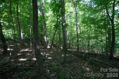 000 Shinnville Road, Mooresville, NC 28115 - Photo 11