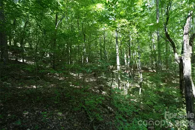 000 Shinnville Road, Mooresville, NC 28115 - Photo 9