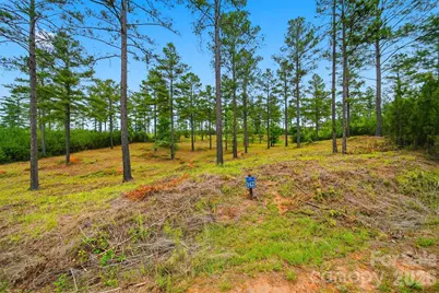 1776 Cove Side Drive, Granite Falls, NC 28630 - Photo 13