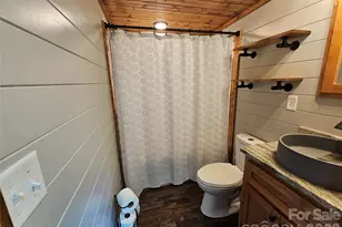 171 Duff Cv Rd, Brevard, NC 28712 - Photo 27