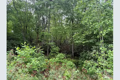 Tbd Dogwood Trail, Spruce Pine, NC 28777 - Photo 11