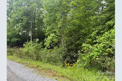 Tbd Dogwood Trail, Spruce Pine, NC 28777 - Photo 5