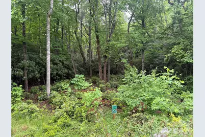Tbd Dogwood Trail, Spruce Pine, NC 28777 - Photo 3
