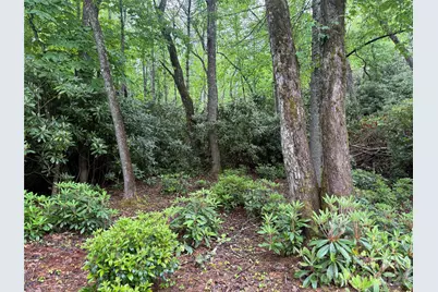 Tbd Dogwood Trail, Spruce Pine, NC 28777 - Photo 9
