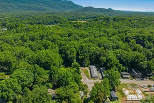 895 N Trade St, Tryon, NC 28782 - Photo 45