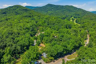 895 N Trade St, Tryon, NC 28782 - Photo 41