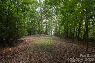 Tbd Reserve Road #16, Pisgah Forest, NC 28768 - Photo 5