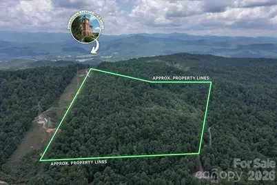 Tbd Reserve Road #16, Pisgah Forest, NC 28768 - Photo 15