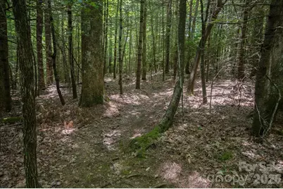 Tbd Reserve Road #16, Pisgah Forest, NC 28768 - Photo 17